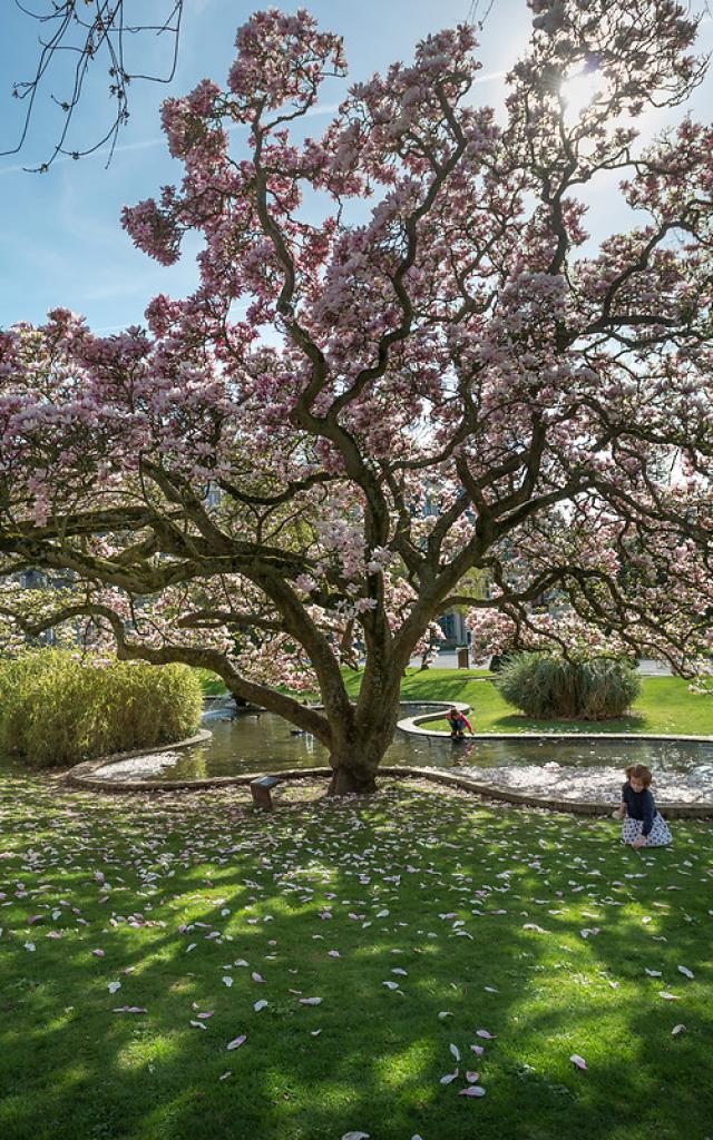 Abbeville, Parc Emonville