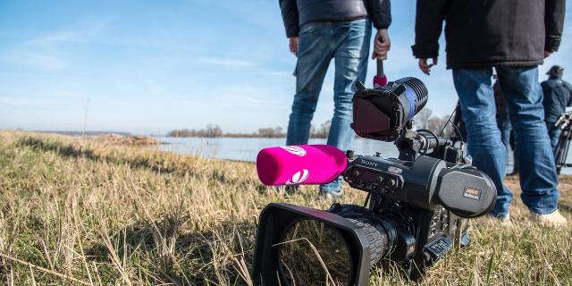 Image Par Wolfgang Ehrecke De Pixabay