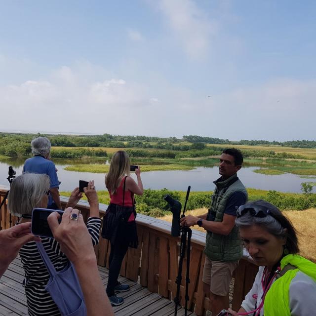 Marché All Accueil Journalistes Autrichiens