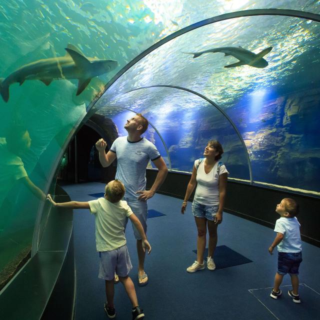 Centre National De La Mer Boulogne Sur Mer