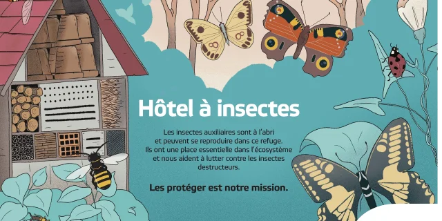Vvf Hotel A Insectes