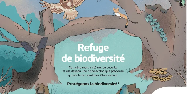 Vvf Refuge De Biodiversite