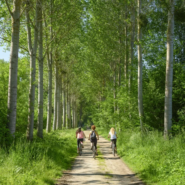 Foret-de-Hez-Froidmont, vélotourisme
