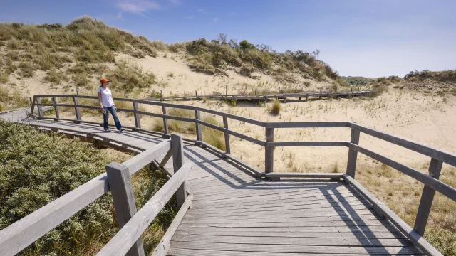 Merlimont. Sentier de randonnee au milieu des dunes.