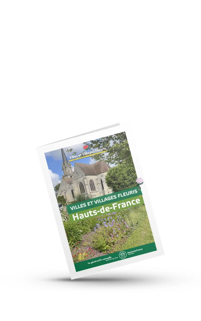 VVF Livret De Presentation