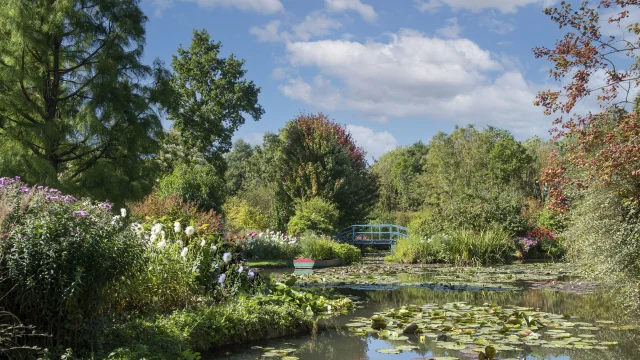 Campagne Digitale Jardins